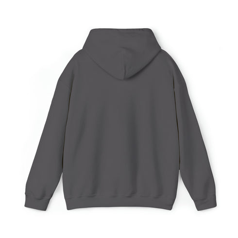Women Hoodies Women Heavy Blend™ Hooded Sweatshirt Warms hoodies